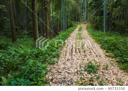 Mountain road 90735330