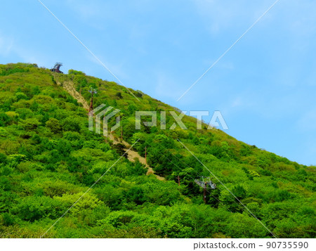 Fresh green Mt. Haruna 90735590