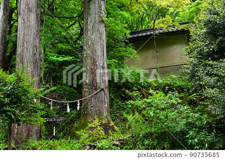 從岩龍寺 從岩龍寺 90735685