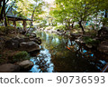 真橋公園池塘里的錦鯉 90736593