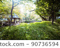 綠意盎然的真橋公園 90736594