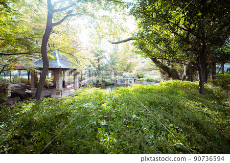 Mabashi Park full of greenery Mabashi Park full of greenery 90736594