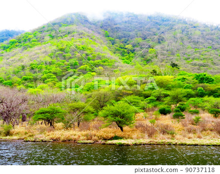 Raised bog in the morning Raised bog in the morning 90737118