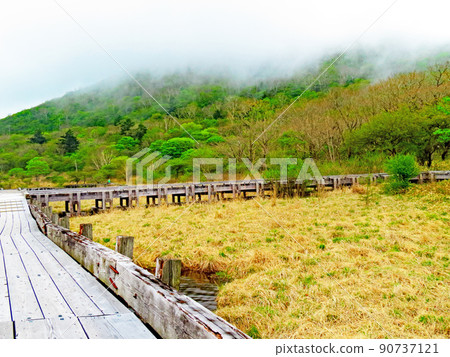 早上起來的沼澤 90737121