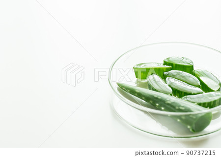 蘆薈圖片 90737215