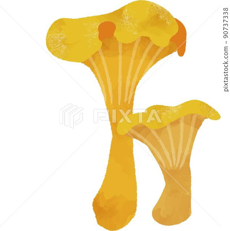 Yellow mushroom 90737338