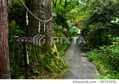 從岩龍寺 從岩龍寺 90737656