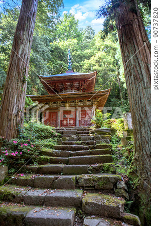 Hasedera Gochido(垂直) Hasedera Gochido(垂直) 90737820