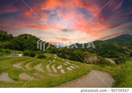 Oyama Senmaida Sunset Oyama Senmaida Sunset 90739567