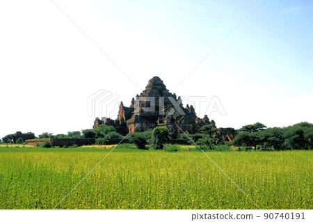 世界三大佛教聖地之一蒲甘芝麻田中的大馬延吉寺 世界三大佛教聖地之一蒲甘芝麻田中的大馬延吉寺 90740191
