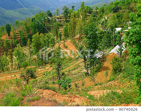 Sindhupalchok的日常風景 90740826