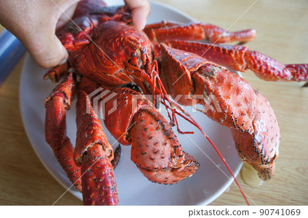 Giant coconut crab Giant coconut crab 90741069