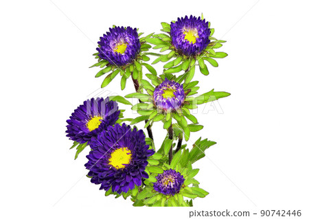 [Aster] (Depth synthesis) 90742446