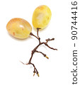 Grapes on white 90744416