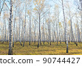 Autumn forest 90744427