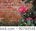 Red brick wall and camellia 90744548