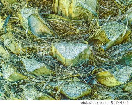 natural texture. palm bark, exotic tree. bark with hairs and chips. tree with brown trunk. palm tree in tropical country. 3d volumetric texture, background natural texture. palm bark, exotic tree. bark with hairs and chips. tree with brown trunk. palm tree in tropical country. 3d volumetric texture, background 90744755
