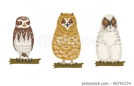 Owl Species as Nocturnal Bird of Prey with Hawk-like Beak and Forward-facing Eyes Perching on Tree Branch Vector Set 90745274