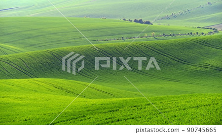Beautiful landscape with spring nature. Waves on the field. South Moravia - Moravian Tuscany - Czech Republic Europe.. 90745665