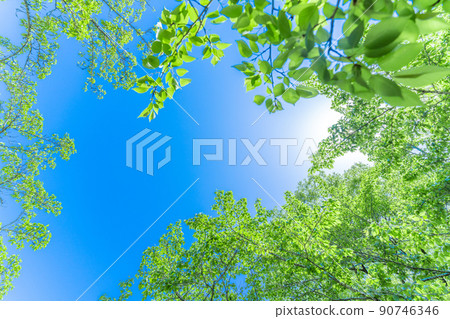 新的綠色·藍天 新的綠色·藍天 90746346