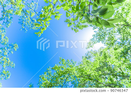 新的綠色·藍天 新的綠色·藍天 90746347