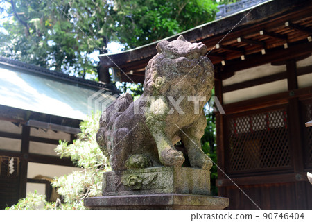 岡崎神社 Haiden 和 Komainu-3 岡崎神社 Haiden 和 Komainu-3 90746404
