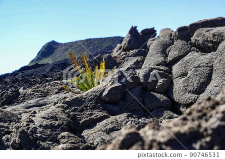 Piton de la Fournaise volcano, Reunion island, indian ocean, France Piton de la Fournaise volcano, Reunion island, indian ocean, France 90746531