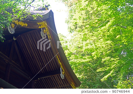 新鮮的綠色岡崎神社禮拜堂-1 90746944