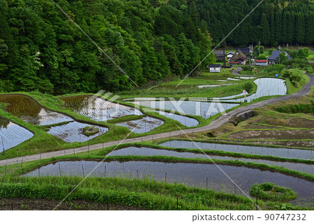 從 Kewara 梯田出發 90747232