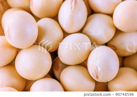 大豆 大豆 90748596