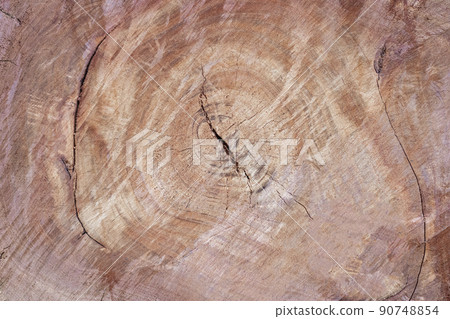 The surface of the wood with a circular pattern, red wood. The surface of the wood with a circular pattern, red wood. 90748854
