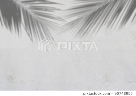 leaf shadow and light concept on gray cement surface leaf shadow and light concept on gray cement surface 90748995