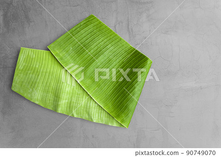 Banana leaves set against gray cement background . Banana leaves set against gray cement background . 90749070