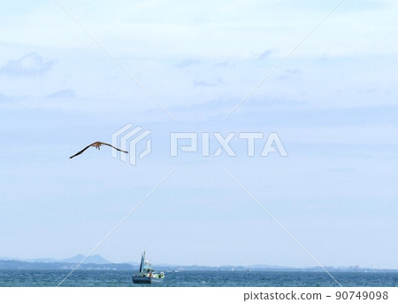 Tonbi and the Sea Chigasaki City, Kanagawa Prefecture Southern Beach Chigasaki Headland Beach Coby Space 2022/06 90749098
