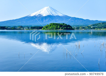 初夏的富士山河口湖畔 初夏的富士山河口湖畔 90749978
