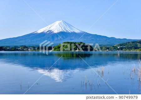 初夏的富士山河口湖畔 初夏的富士山河口湖畔 90749979
