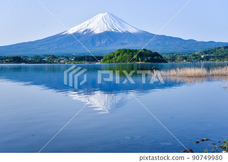 初夏的富士山河口湖畔 初夏的富士山河口湖畔 90749980