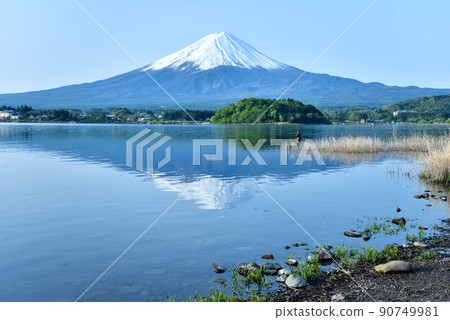 初夏的富士山河口湖畔 初夏的富士山河口湖畔 90749981