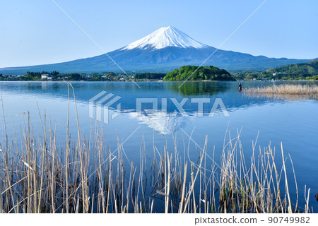 Mt. Fuji in early summer on the shore of Lake Kawaguchi Mt. Fuji in early summer on the shore of Lake Kawaguchi 90749982