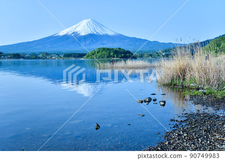 初夏的富士山河口湖畔 初夏的富士山河口湖畔 90749983