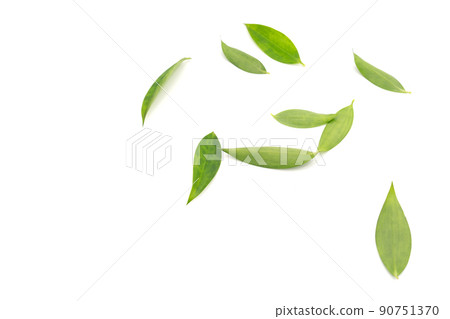 Leafs disorder arrangement in studio light on white background. 90751370