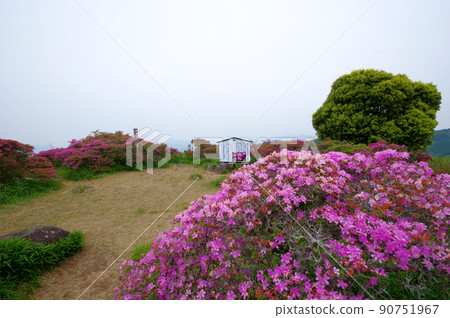 位於富士山山頂的美山霧島故鄉。 90751967