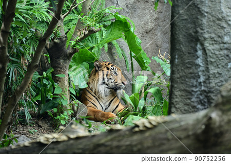 來自神戶動物王國 90752256