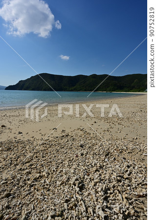 索卡魯海岸 90752819