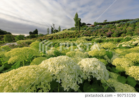 綠色 Annabel 和 Kazahaya no Sato 的看法 90753150