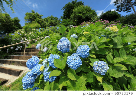 藍色手鞠和樓梯 90753179