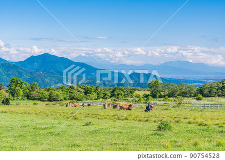 (山梨縣)清里高原 / Seisen-ryo Ranch 初夏 (山梨縣)清里高原 / Seisen-ryo Ranch 初夏 90754528