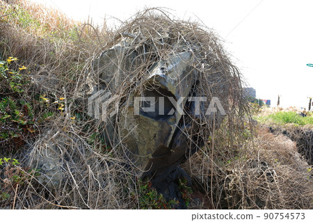 漢達姆步道，步行，海灘，沿海公路，海灘，海岸，熔岩，健康，步行， 90754573