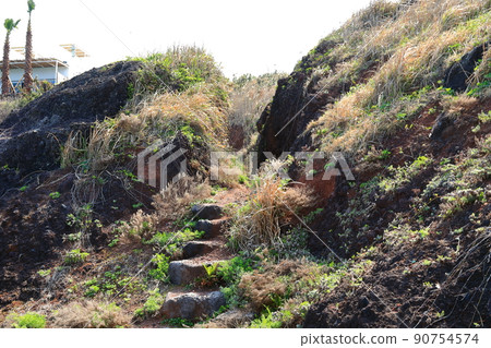 Handam trail, walking, beach, coastal road, beach, coast, lava, health, walking, Handam trail, walking, beach, coastal road, beach, coast, lava, health, walking, 90754574