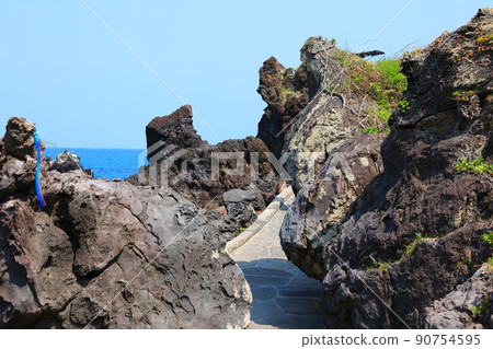 漢達姆步道,步行,海灘,沿海公路,海灘,海岸,熔岩,健康,步行, 漢達姆步道,步行,海灘,沿海公路,海灘,海岸,熔岩,健康,步行, 90754595